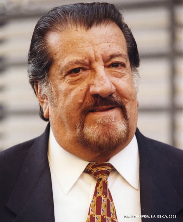 "Cómplices al rescate", "Rebelde" y "Mañana es para siempre", sólo por mencionar algunas.