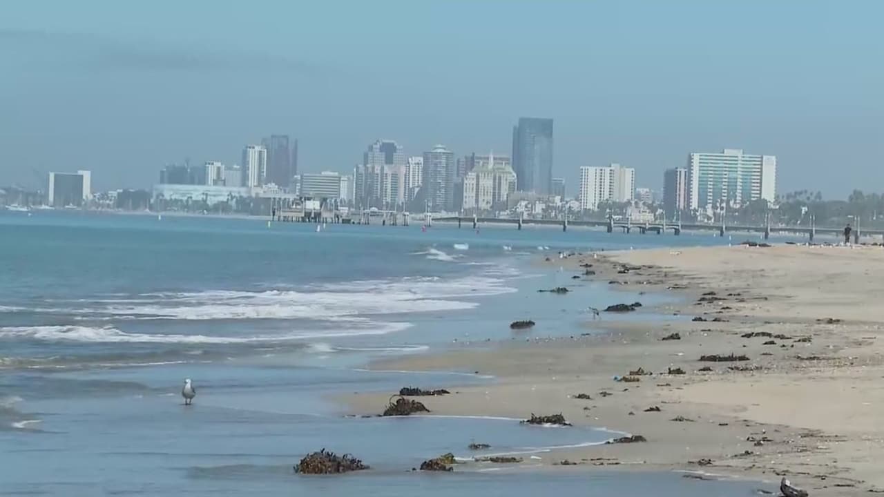 Advierten de altos niveles de bacterias en varias playas de Los Ángeles: te contamos cuáles