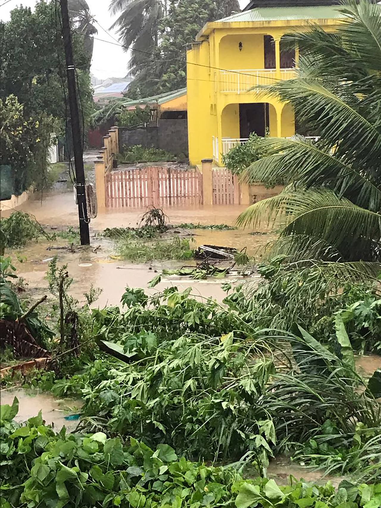 El área de Sainte-Rose en Guadalupe, con árboles caídos e inundaciones. El gobernador de Puerto Rico, Ricardo Rosselló, afirmó que María será la tormenta más devastadora del último siglo.