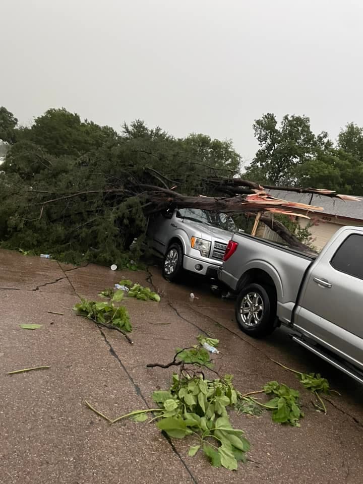 Árboles caídos, arrancados incluso desde la raíz, y miles de clientes sin electricidad son parte de la 
<b>devastación en el centro de Dallas debido a tormentas y fuertes rachas de viento</b>.