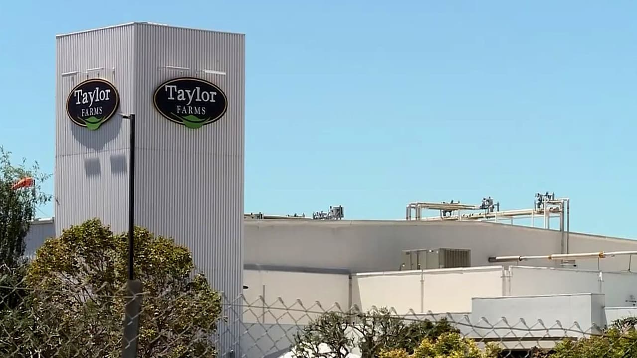 FDA admite error por falso positivo de ciclosporiasis en lechuga de la empresa Taylor Farms