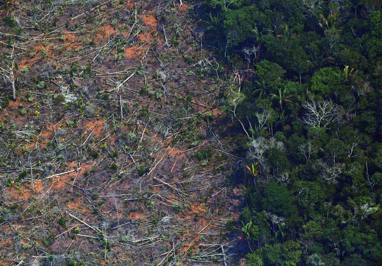 Un segmento deforestado del Amazonas en Brasil.