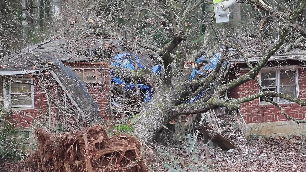 Un niño de 5 años del condado de DeKalb muere después de que un árbol partiera su casa en dos