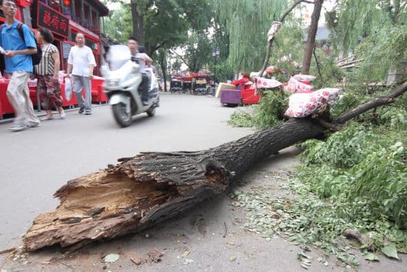 La televisión local difundió este jueves imágenes de la devastación que dejó la tormenta en la ciudad y de los parabrisas destruidos por los enormes granizos del tamaño de un huevo de gallina.