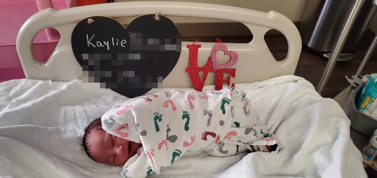 La cigüeña llegó en este Día de San Valentín al norte de Texas. 
<br>