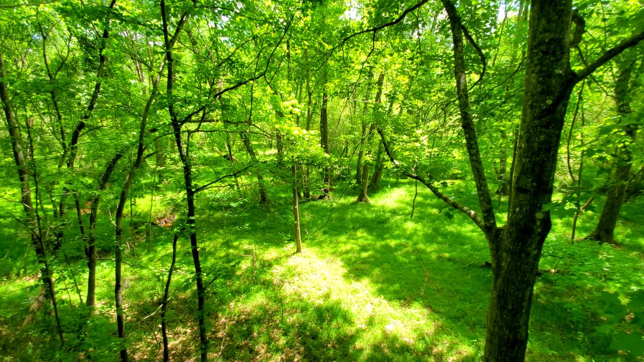 Para quienes quieran pasar la noche, pueden reservar terrenos para tiendas de campaña y para vehículos recreativos.