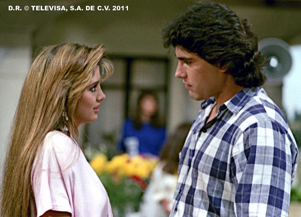 Esta pareja gustó tanto que años más tarde estelarizaron otra telenovela, siendo un éxito total.