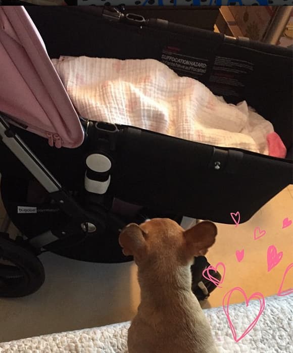 La pequeña Honey Berry cuida muy bien de Giulietta mientras duerme ¡qué tierna!