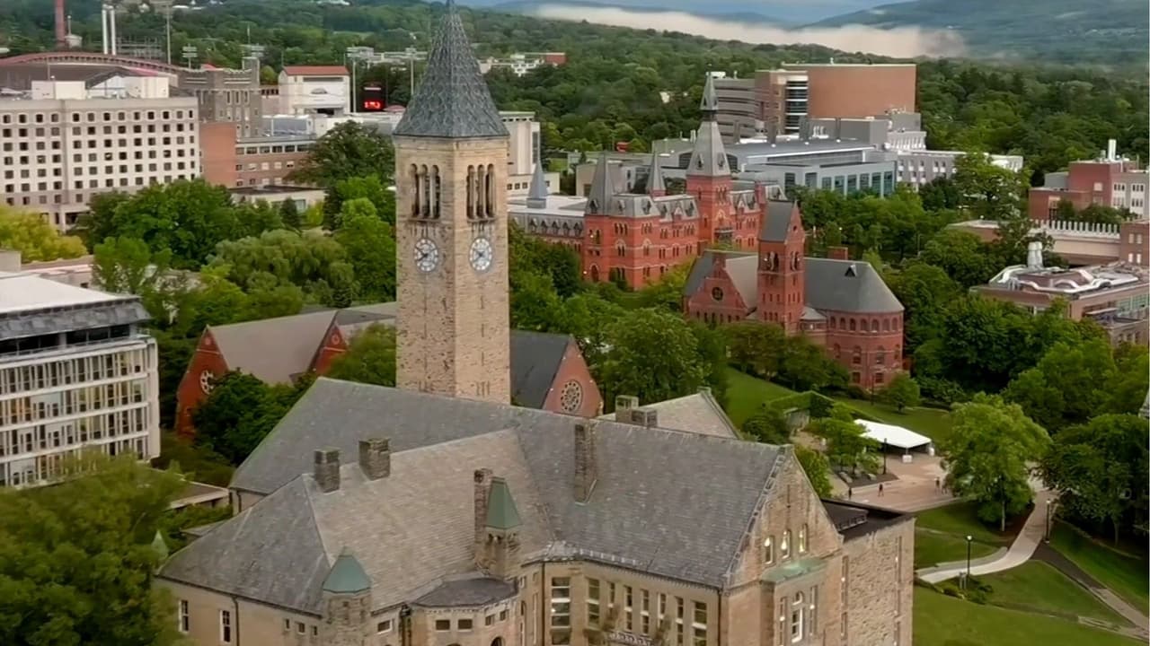 ¿Por qué se reabrió la investigación sobre una presunta violación grupal de una estudiante en la Universidad de Cornell?