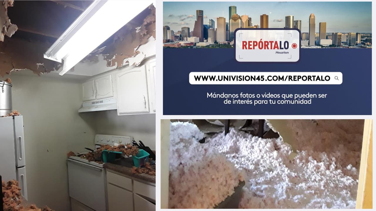 "Gracias Repórtalo Houston": Hispanos reciben buenas noticias tras verse afectados por incendio en la casa de sus vecinos