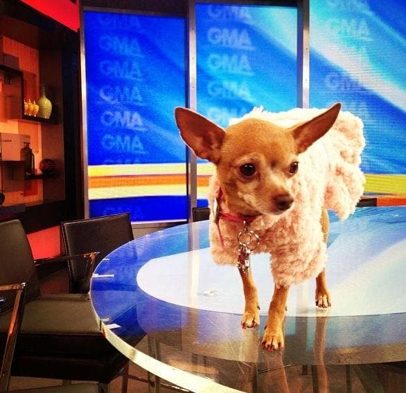 Al igual que su mamá, Honey se levantaba todos los días de madrugada para ir a trabajar.