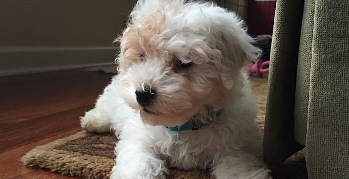 13 de junio en 
<b>Oak Park Community Center</b>
<br>3425 Martin Luther King, Jr. Boulevard