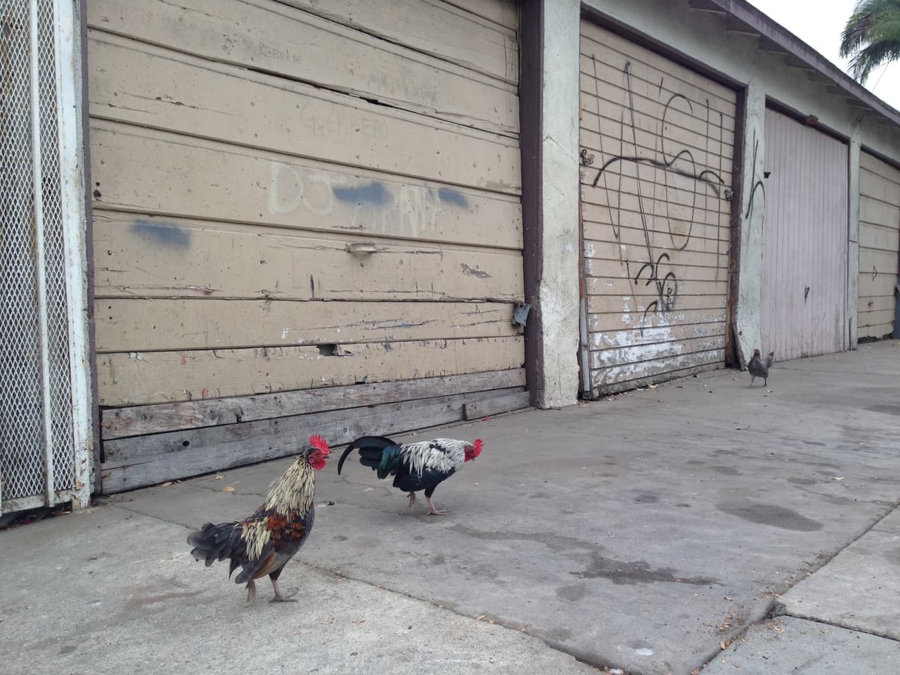 Este lugar se posicionó recientemente en la cultura popular por la película 'Straight Outta Compton', proyectada en los cines en 2015.