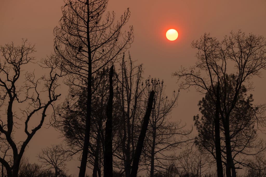 <b>Mike Ramsey, fiscal de distrito del condado de Butte</b>, declaró el pasado jueves, en conferencia de prensa, que
<b>Ronnie Dean Stout II</b>, de 42 años,
<b>fue</b>
<b>arrestado</b>. Según la investigación inicial, el auto del acusado "se quemó por completo, propagando las llamas que causaron el incendio Park".
