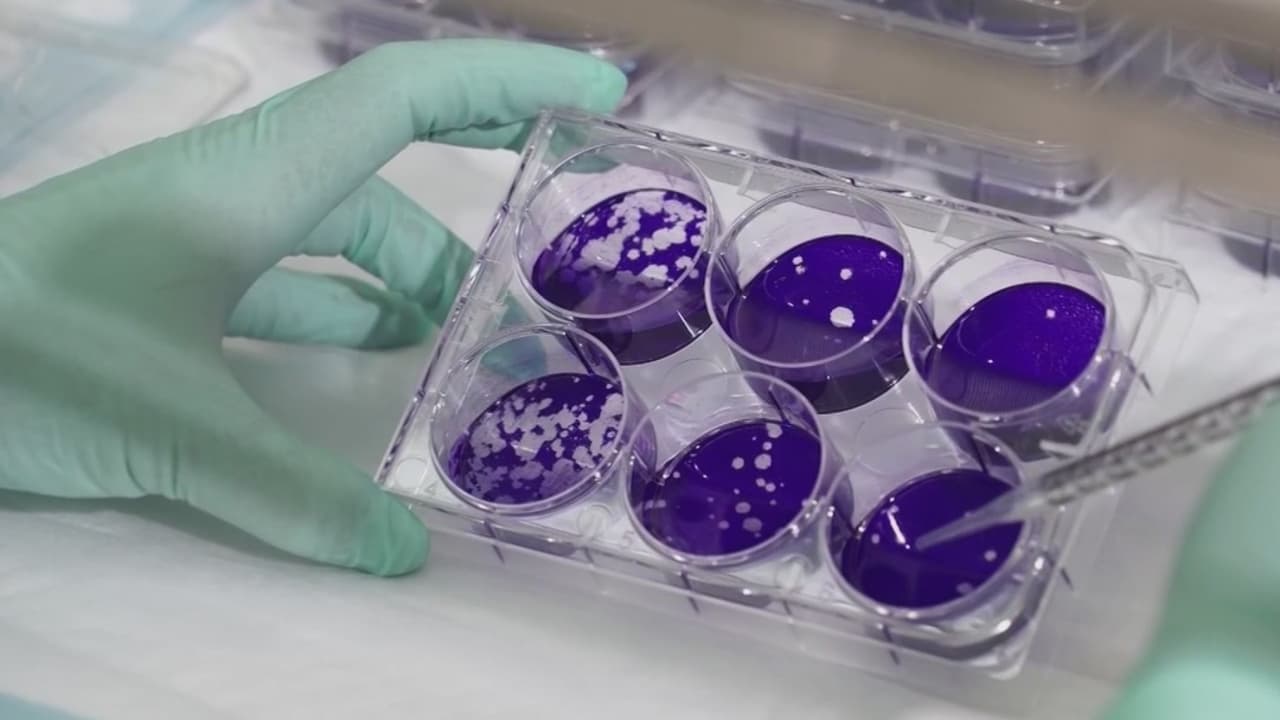 Coronavirus en Illinois: 25 casos confirmados en el estado y varias escuelas con clases canceladas