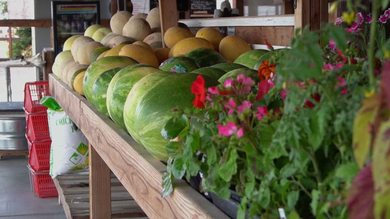 Clima extremo y lluvias golpean granjas de Sacramento y causan fuertes pérdidas a productores