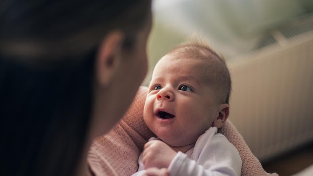 Why the baby brain can learn two languages at the same time