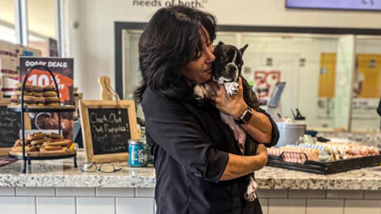 El perro llamado Mario está valorado en 11,499 dólares, según dijo la policía.