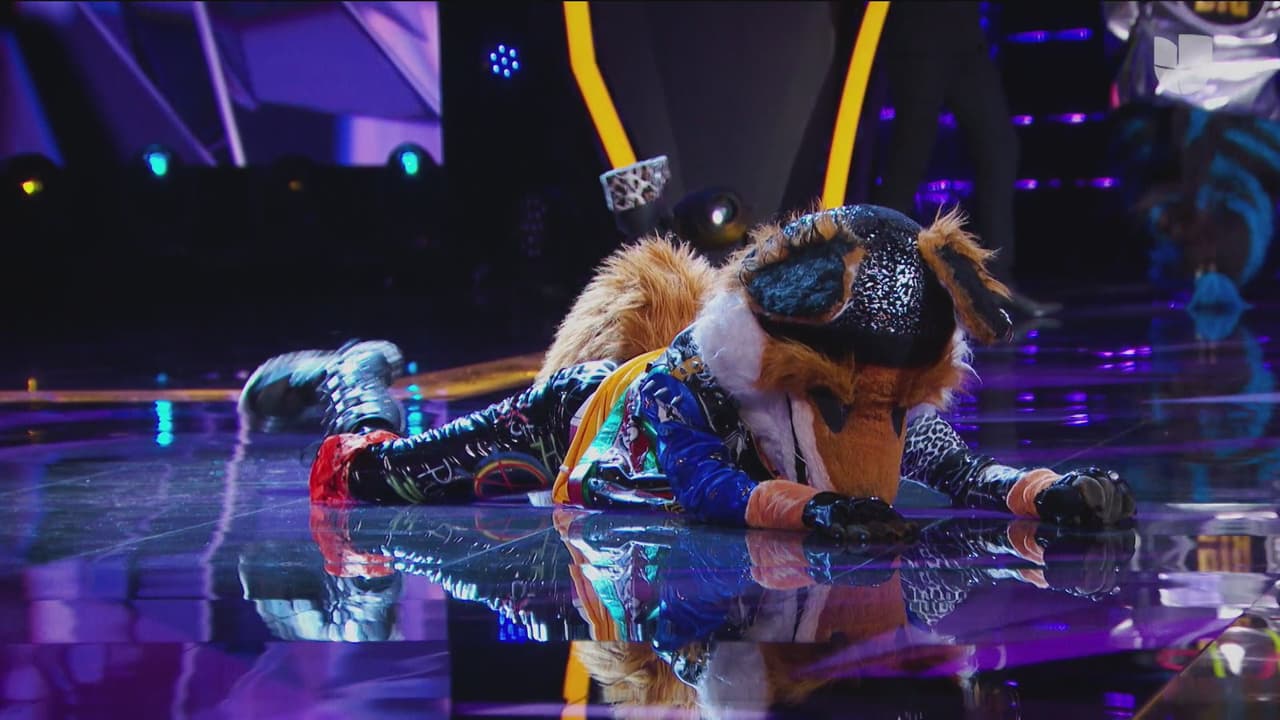 De ese primer grupo: Cebra, Camaleón, Zorro y Conejo, los investigadores decidieron que Zorro tendría que pasar a posición de riesgo.