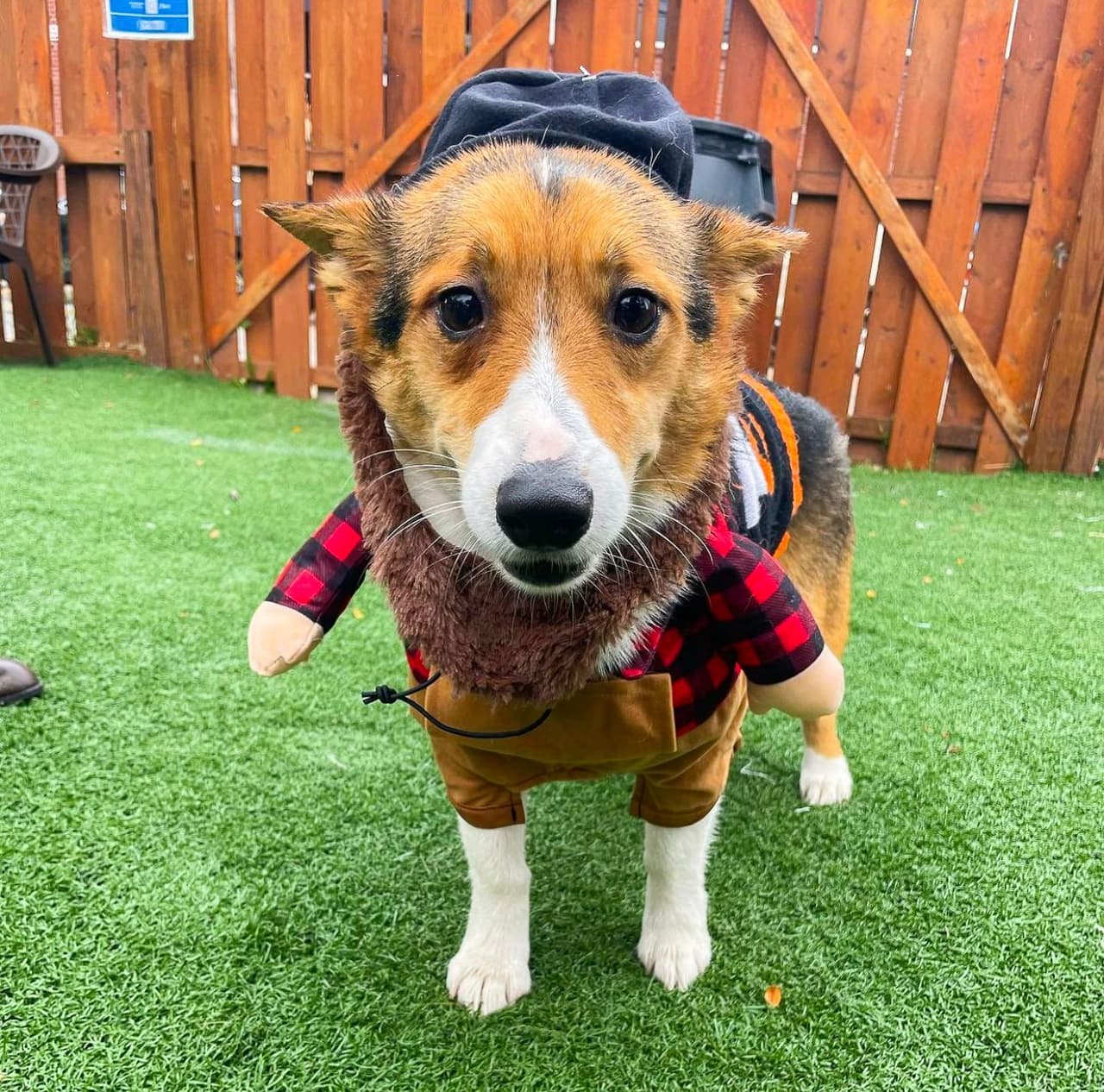 <b><a href="https://www.crafthallphilly.com/">Craft Hall-O-Ween and Craft Hall's Not-So-Spooky Costume Party and Parade at Craft Hall (29 de octubre).</a> </b>Los niños de todas las edades están invitados a participar en un desfile de disfraces bajo techo al mediodía. A la 1 pm, la fiesta se muda al aire libre para un desfile de cachorros disfrazados, que termina en el parque para perros de la cervecería.