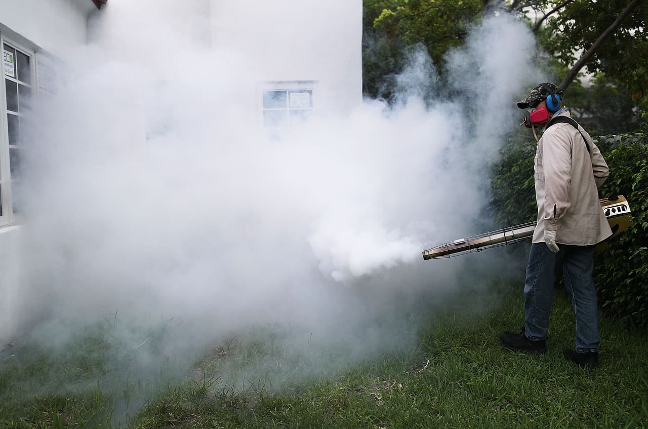 Científicos en Texas advierten que el zancudo Aedes aegypti puede transmitir el zika a sus huevos y larvas