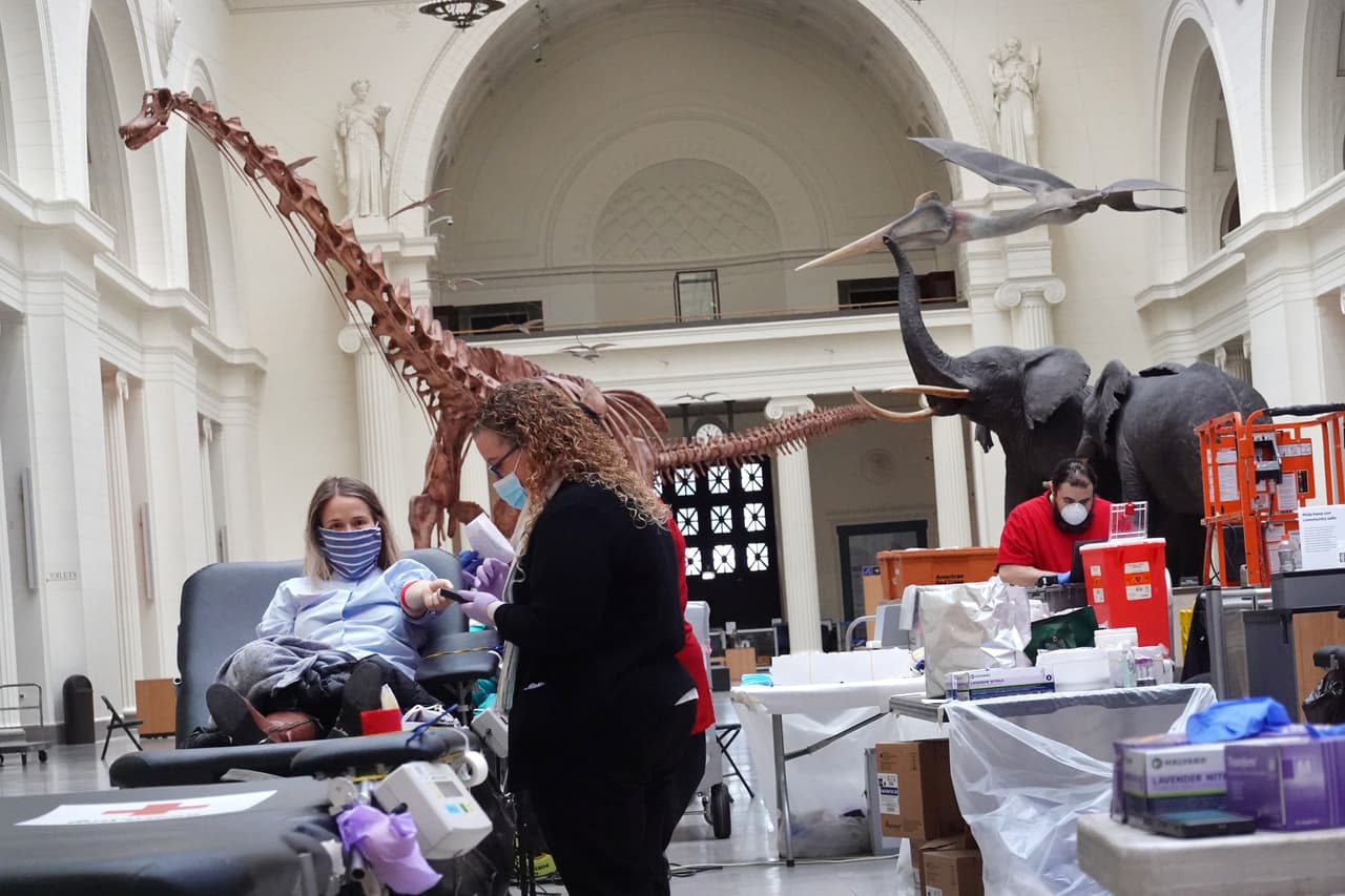 Los donantes de sangre tuvieron una vista privilegiada del "
<i>Máximo the Titanosaur</i>" (al fondo a la izquierda) que es descrito en el 
<a href="https://www.fieldmuseum.org/blog/making-maximo-titanosaur" target="_blank">sitio web del museo</a> como un titanosaurio de cuello largo y herbívoro que es el más grande de los dinosaurios saurópodos y el más grande que se ha descubierto hasta la fecha.
<br>
<br>Los restos del titanosaurio viajaron desde Patagonia, Argentina, en múltiples piezas que llenaron dos contenedores.
