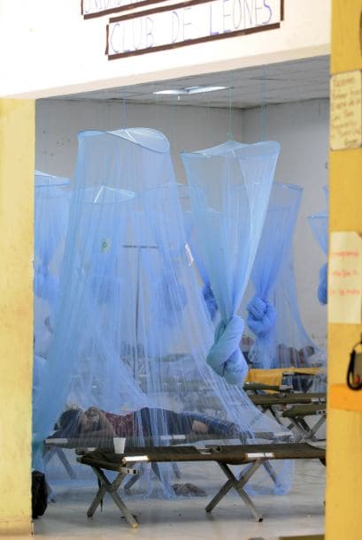 De dengue hemorrágico están reportados unos 2,555 casos, indicó Araujo.