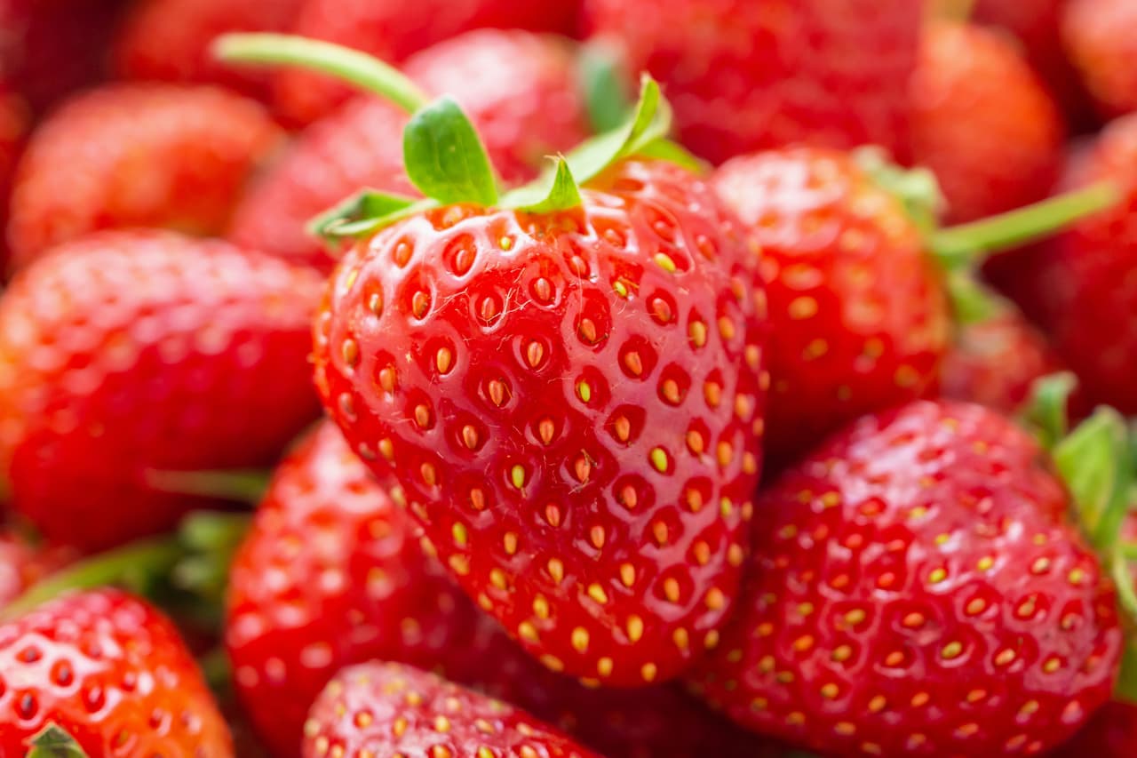 <b>Puesto 1. Fresas. </b>
<br>
<br>Las fresas no orgánicas probadas por científicos de la USDA en 2015 y 2016 contenían un promedio de 7.8 pesticidas diferentes por muestra, en comparación con 2.2 pesticidas por muestra para todos los demás productos, según el análisis de EWG. Las pruebas encontraron que las fresas son los productos frescos con mayor probabilidad de estar contaminados con residuos de pesticidas, incluso después de recolectarlos, enjuagarlos en el campo y lavarlos antes de comerlos.
<br>