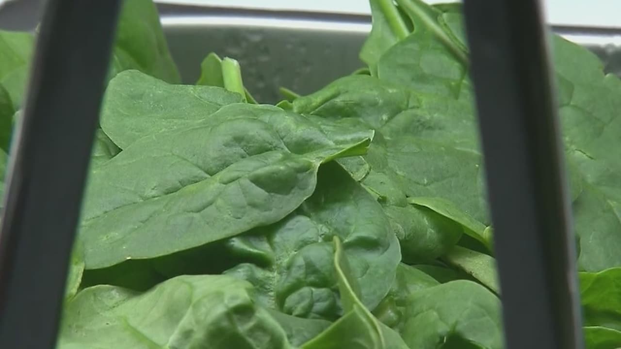 Doctora da consejos para prevenir un ataque al corazón y otras enfermedades cardiacas