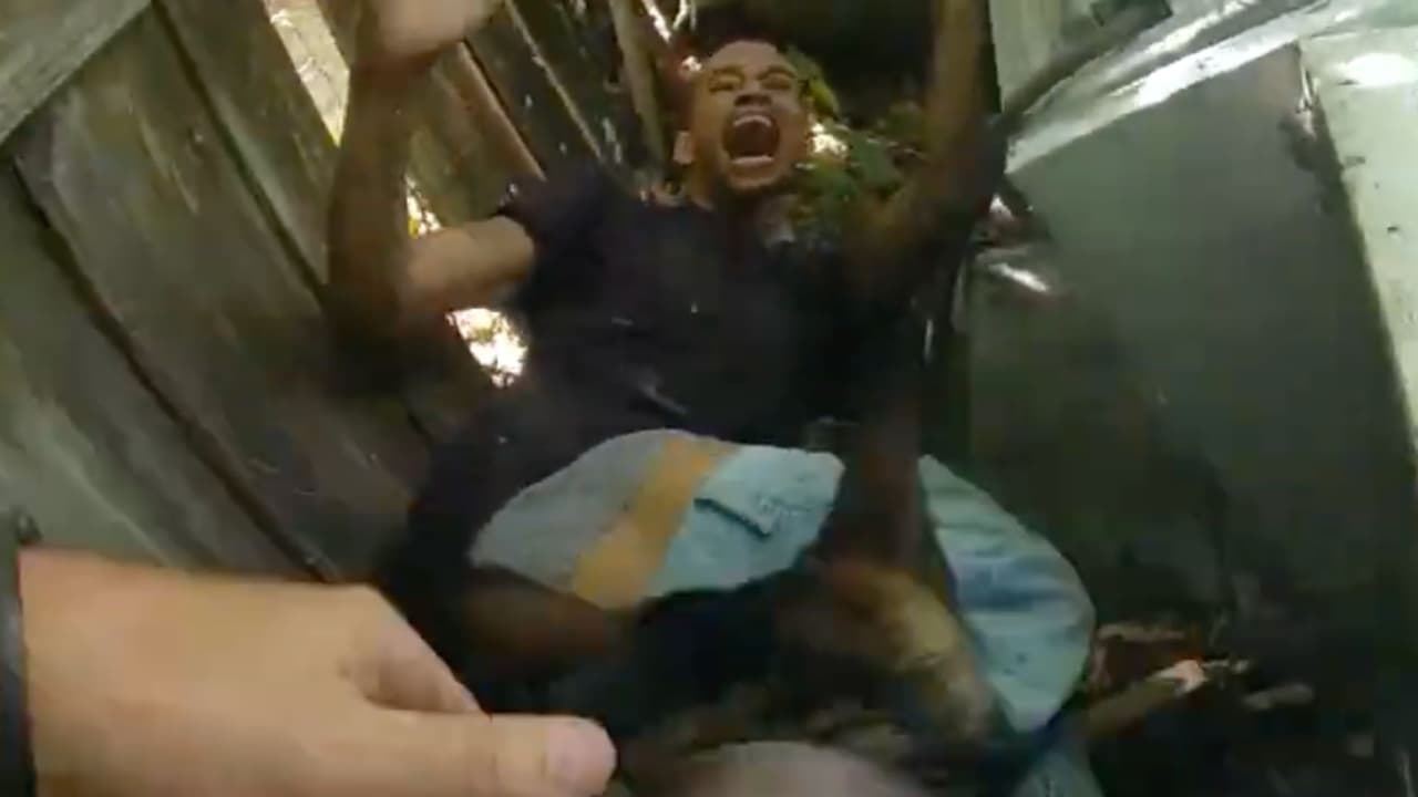 Perro policía ayuda a capturar a sospechoso de asesinato escondido en el patio de una casa