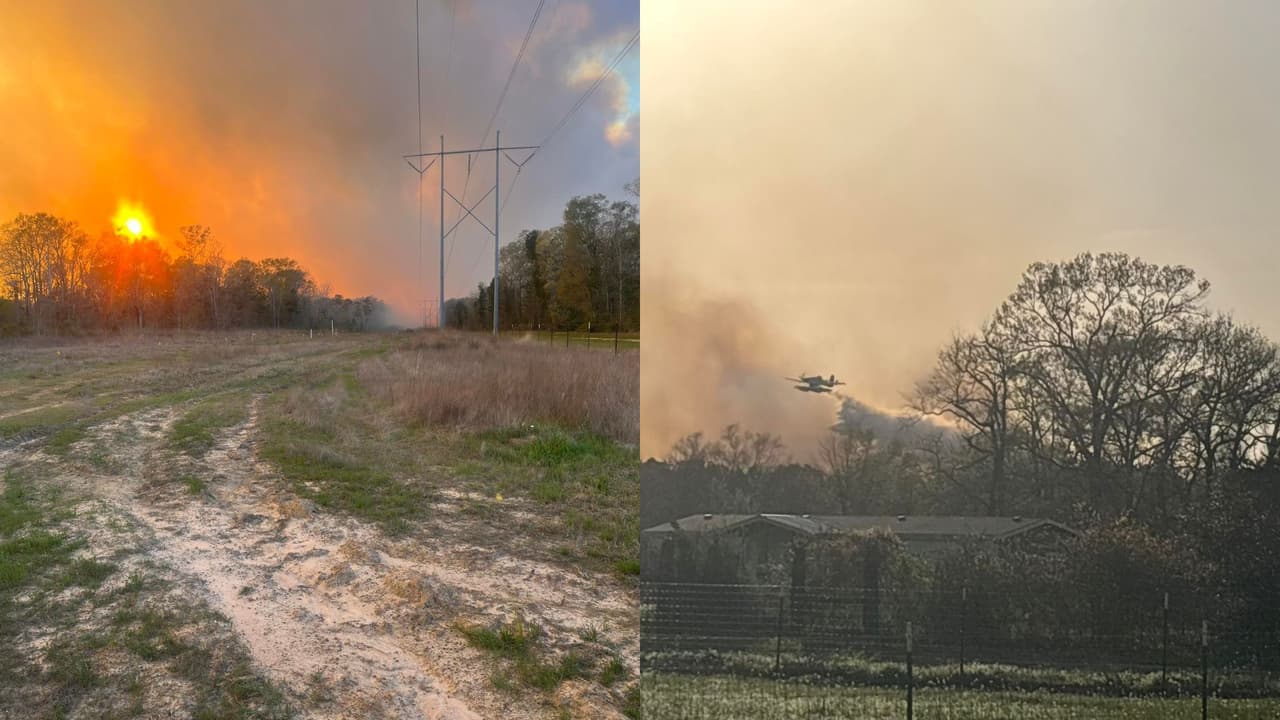 Al menos 2,420 acres han sido consumidos: lo que sabemos de los incendios forestales Pauline Road