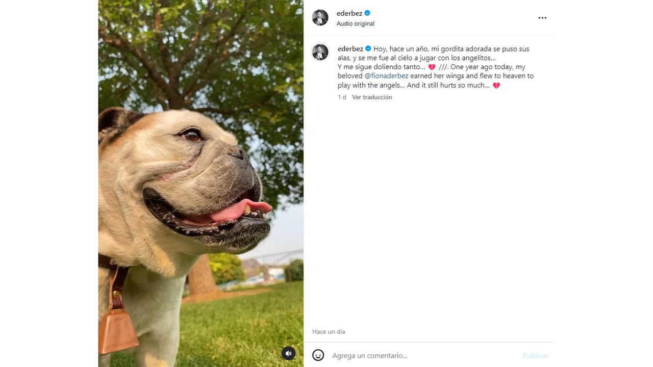 Así recordó Eugenio Derbez a Fiona a un año de su muerte.