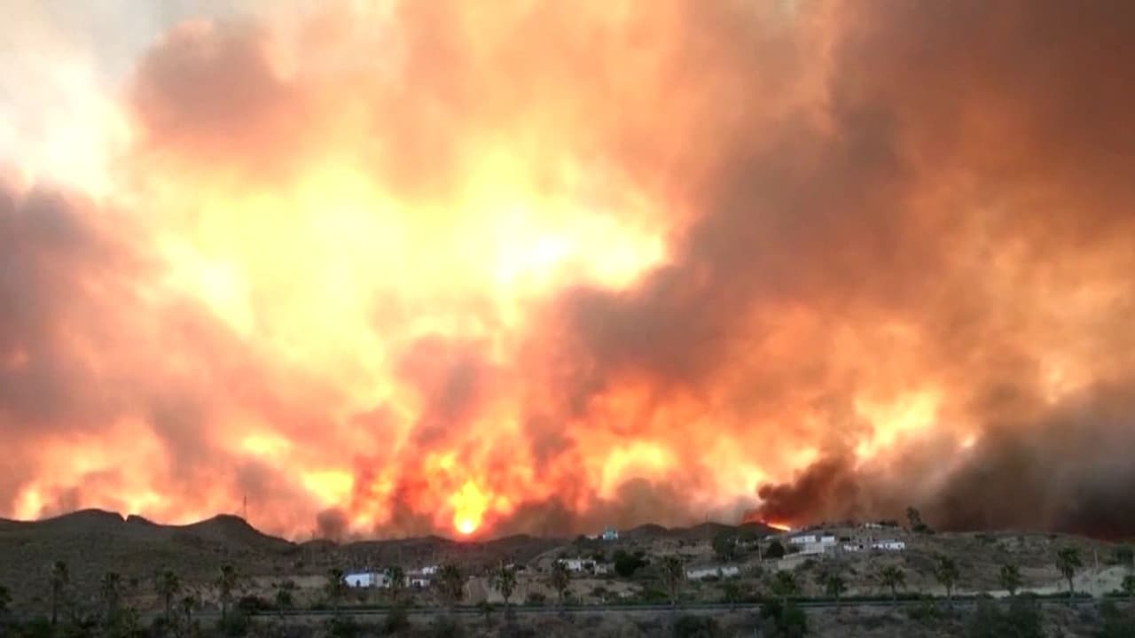 Tragedia en España: Incendio Forestal deja 12 víctimas, entre ellas habría ciudadanos británicos