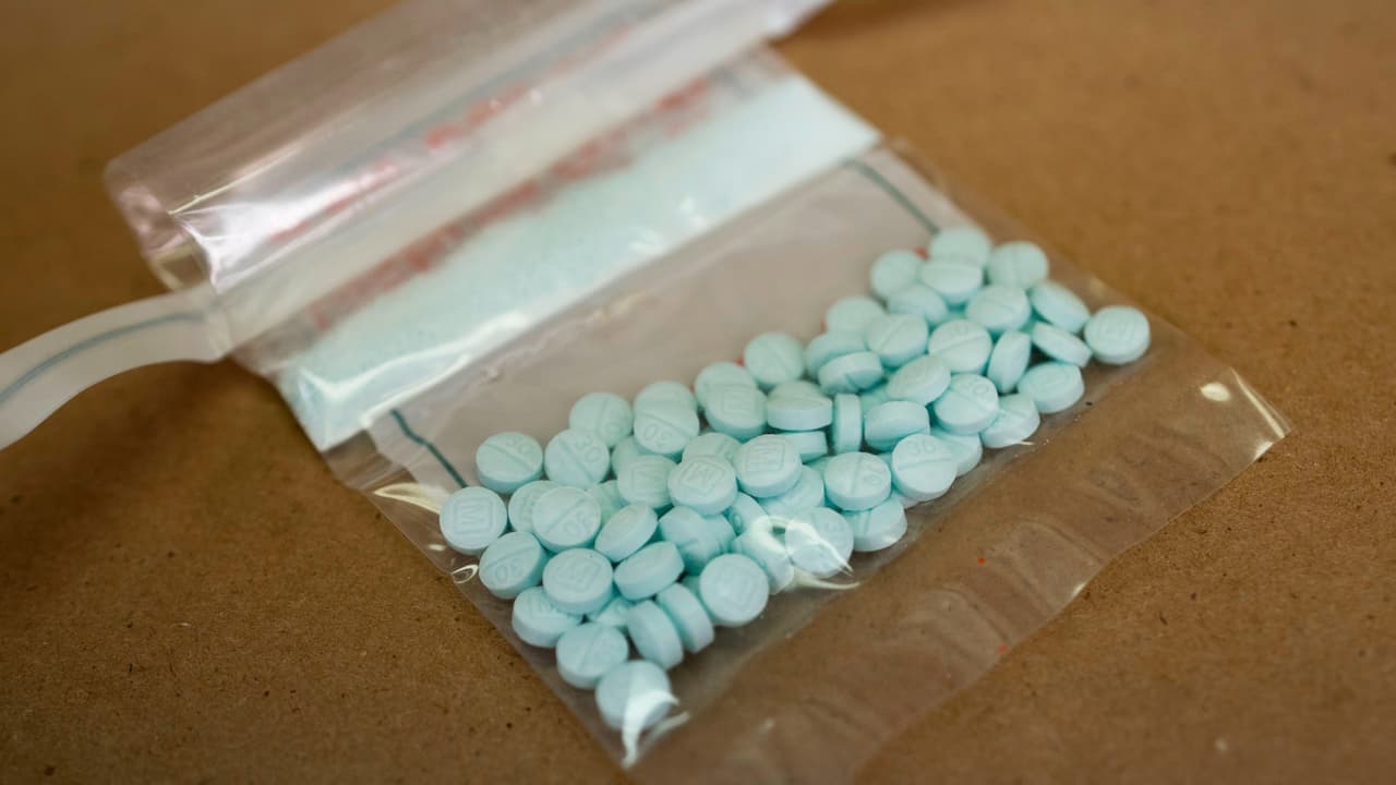 Detienen a redes de narcotraficantes e incautan kilos de droga en Florida Central