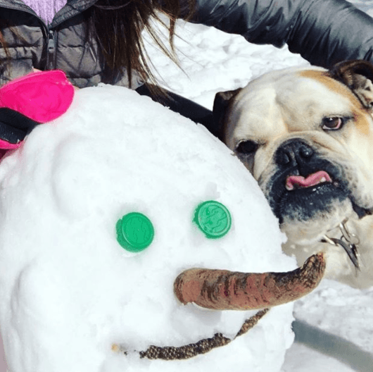 Un paseo en la nieve, Fiona parece muy feliz.