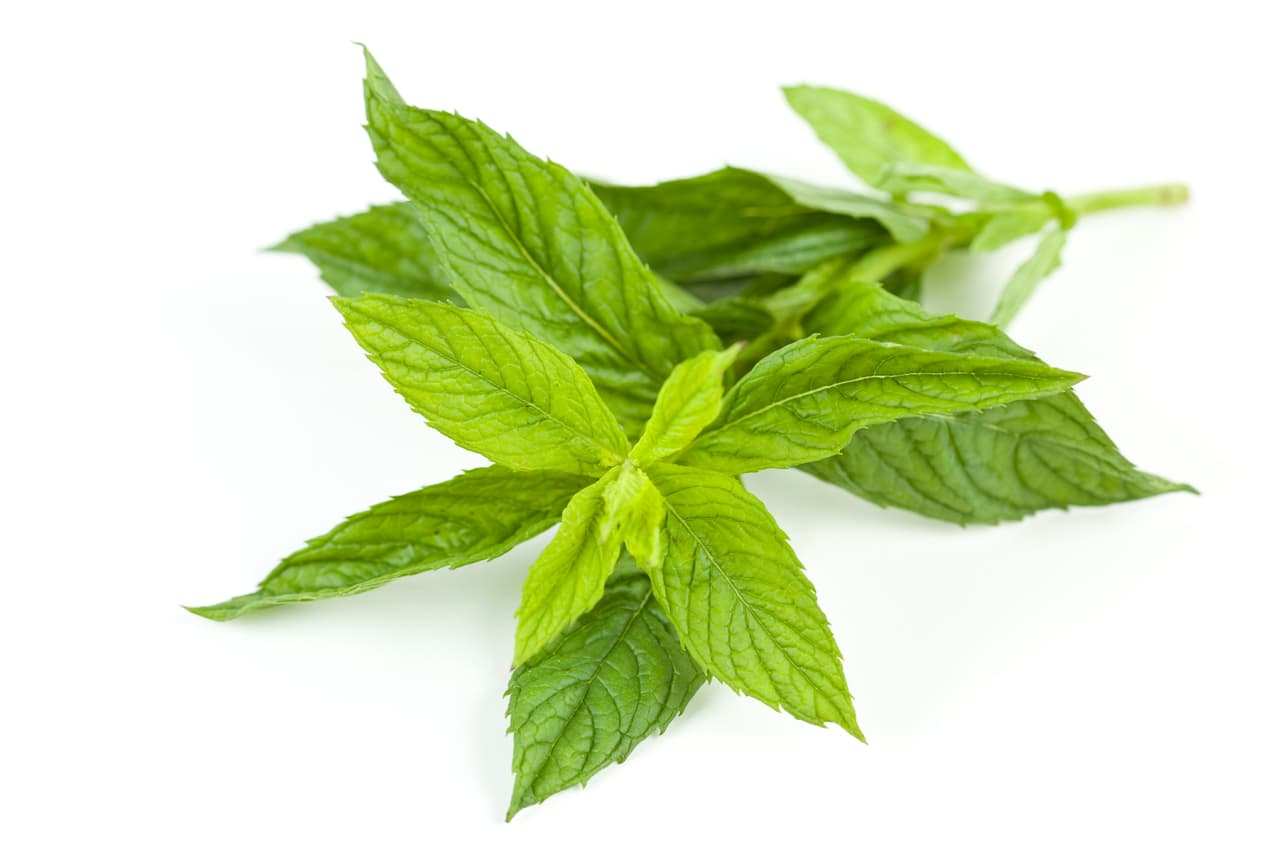 Llena un vaso frío con hielo triturado. Pica 4 a 6 hojas de menta frescas y añádelas.