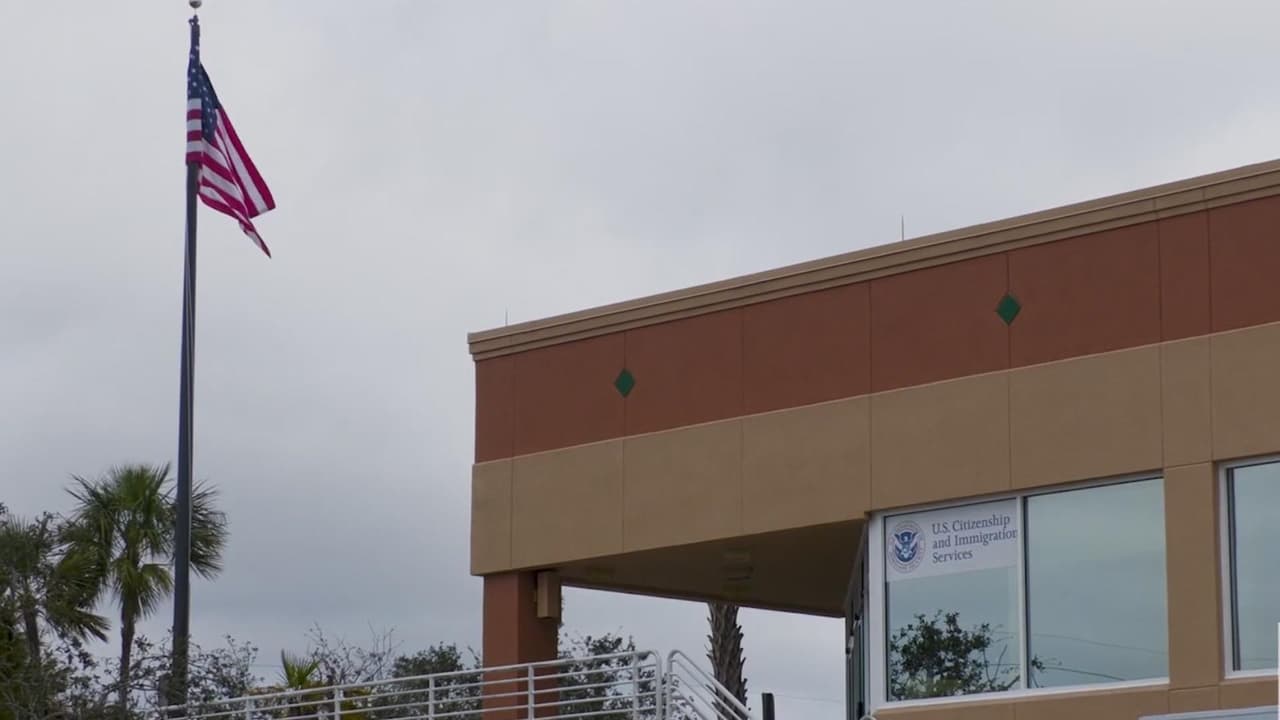 Inmigrantes indocumentados podrían no ser aceptados en la universidad si se aprueba ley de Florida