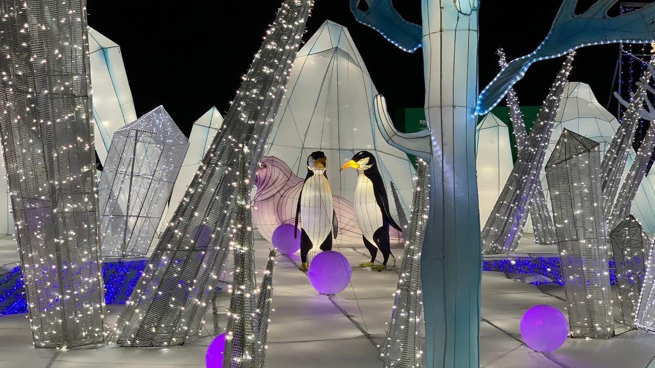 Son 45 días en que se presenta esta exhibición considerada una de las más grandes de su tipo en Estados Unidos.