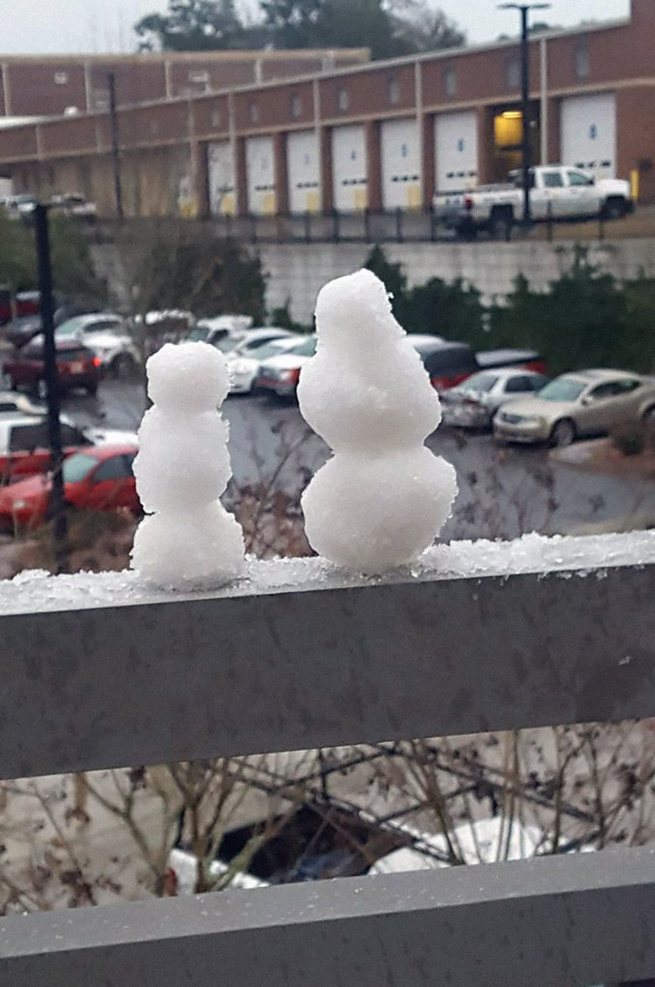 Residentes de Tallahassee han compartidos fotografías de la nevada, que no ocurría en la ciudad desde diciembre de 1989.