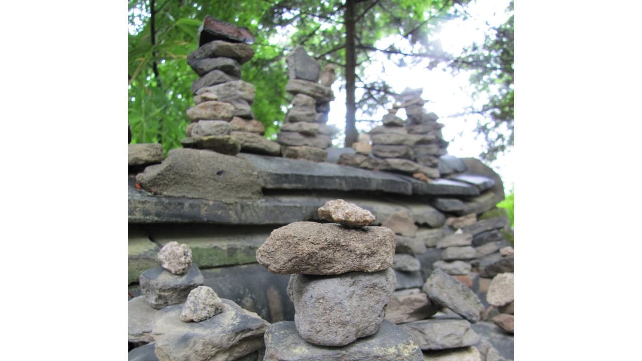Si tu jardín tiene muchas piedras, muévelas pues también pueden esconderse y hasta mimetizarse entre estas.
