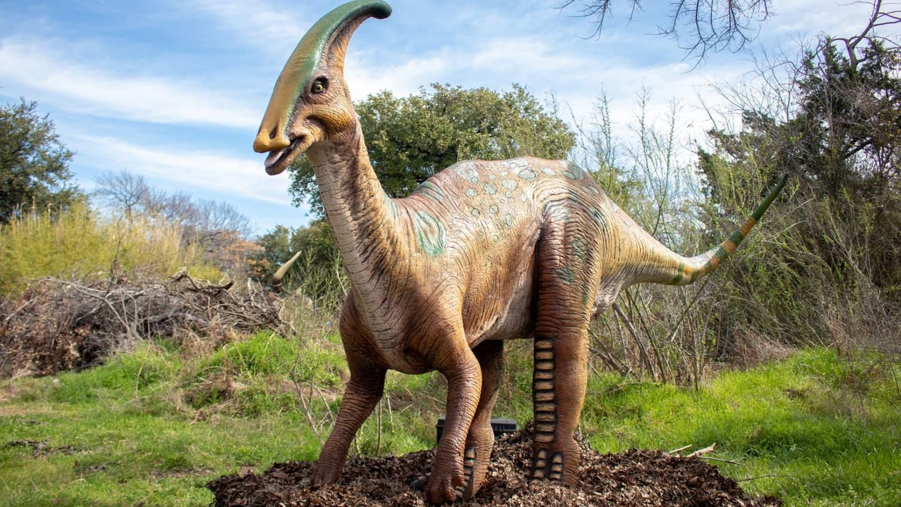 <b>¡Descubre los secretos de los dinosaurios en el Zoo de Dallas! </b>Pasea entre las sombras de 
<b><a href="https://www.dallaszoo.com/destinationdinosaurs/" target="_blank">más de 100 gigantes colosales a tamaño natural </a>e n una de las exposiciones de dinosaurios más grandes del país</b>. Disfruta de casi 40 dinosaurios animatrónicos que se mueven, emiten sonidos y dan vida a estas increíbles criaturas prehistóricas. 
<b>¡Una aventura jurásica que no te querrás perder!</b>