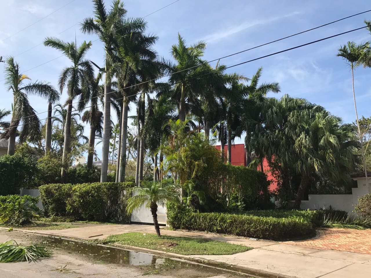 Las personas que temprano en el día limpiaban en las afueras de la mansión, recogían hojas y palmeras. La cantante estaba de gira en México durante el paso de Irma.