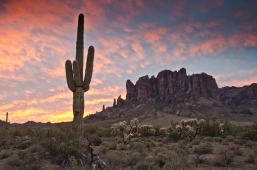 “Lost Dutchman”, personal del parque explica que el nombre se debe a una gran mina de oro perdida, leyenda rodeada de misteriosas muertes. Hoy ofrece espacios para senderistas de todos niveles y espectaculares vistas.
<br>