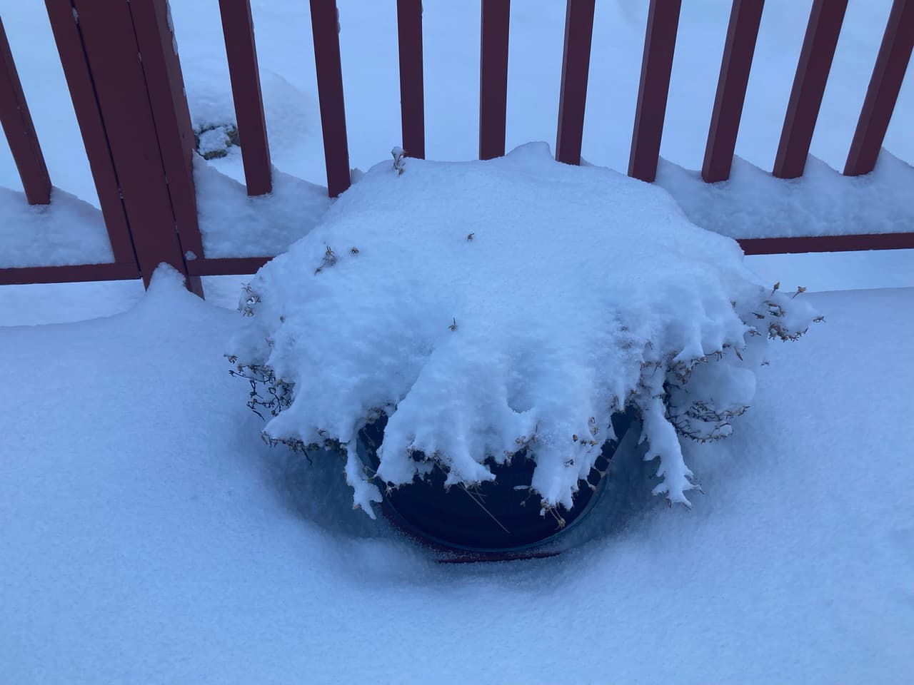 Se siente la Navidad en el norte de Arizona luego de una intensa nevada.