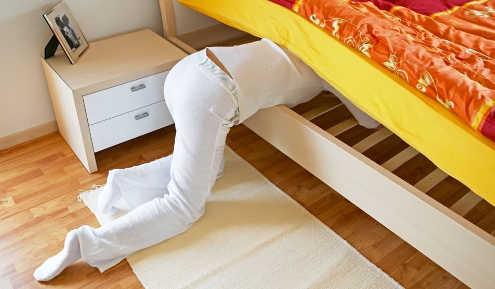 Las dos chicas buscaron bajo la cama cuando tuvieron la oportunidad