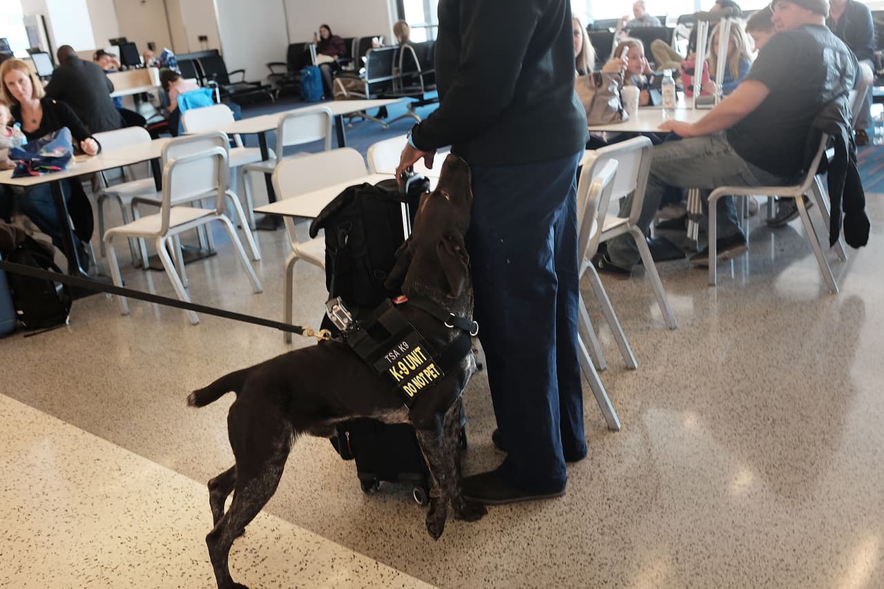 EEUU añade un nuevo nivel de alerta terrorista a un sistema nunca utilizado