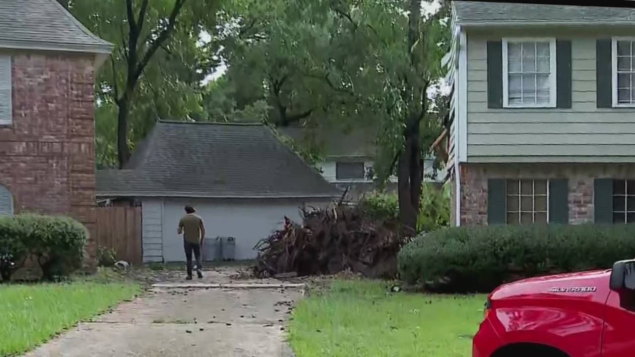 María de la Luz Loredo murió luego de que un árbol cayó encima de su casa a causa de los fuertes vientos. La nuera de la víctima señaló que están consternados tras lo ocurrido y pidió ayuda para los gastos fúnebres, pero también para reparar los daños ocasionados en la vivienda. "Ella cuidaba a mis niños cuando me iba a trabajar y siempre estaba para nosotros. No hay palabras para describir esto", señala la familiar.