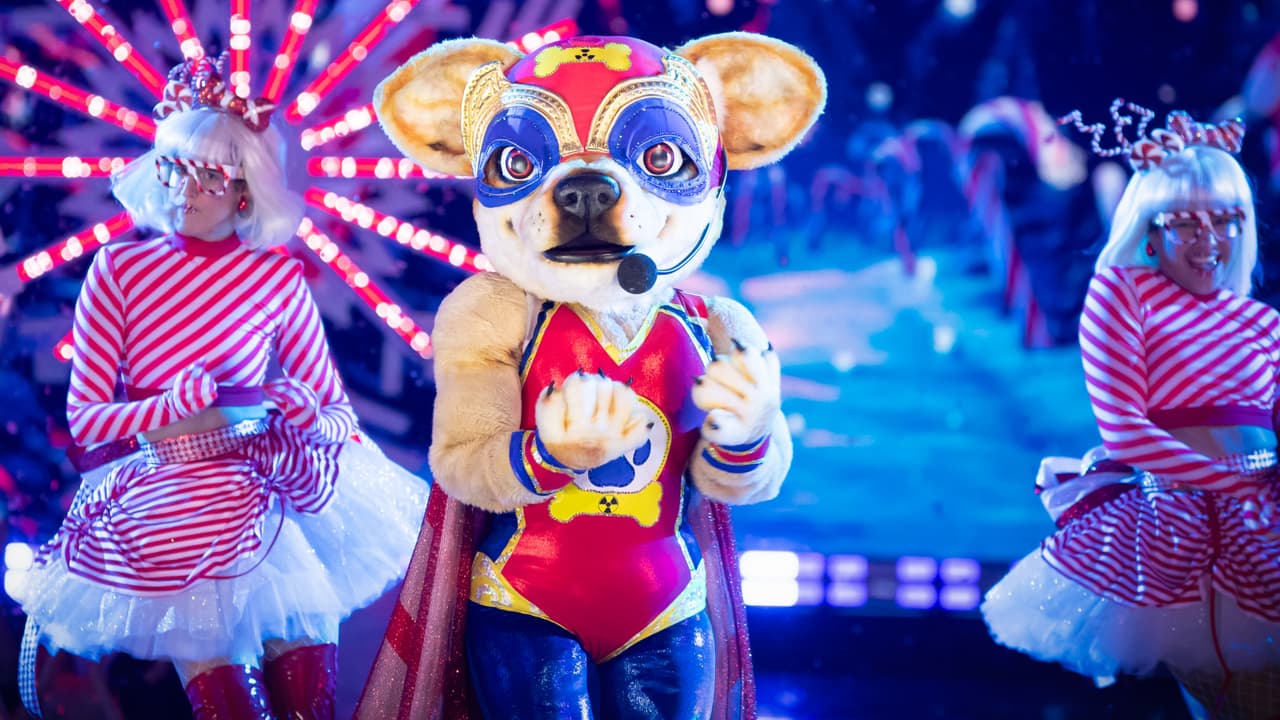 QELM 2024: gran final