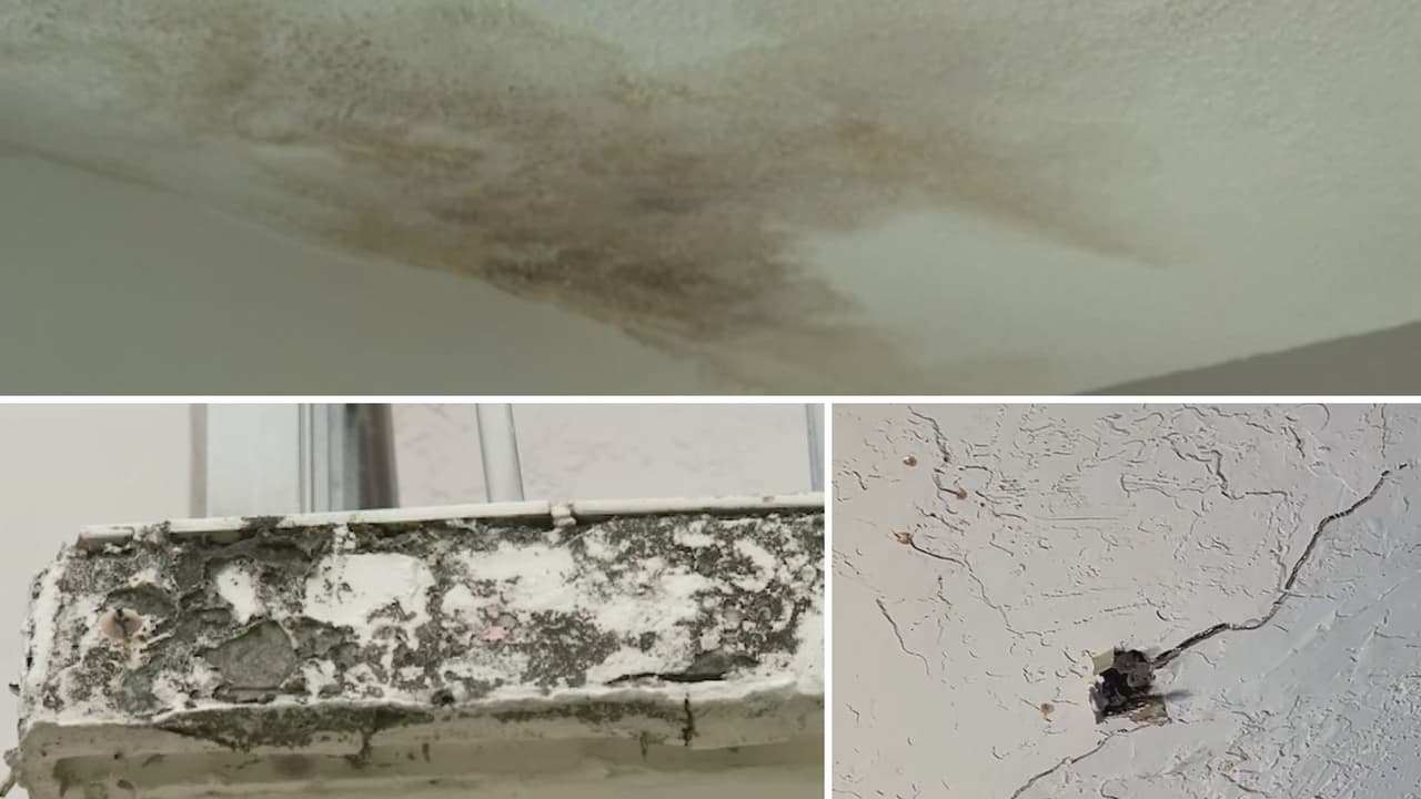 Desprendimiento de la pintura: señales para identificar si la vivienda está afectada por el moho y la humedad