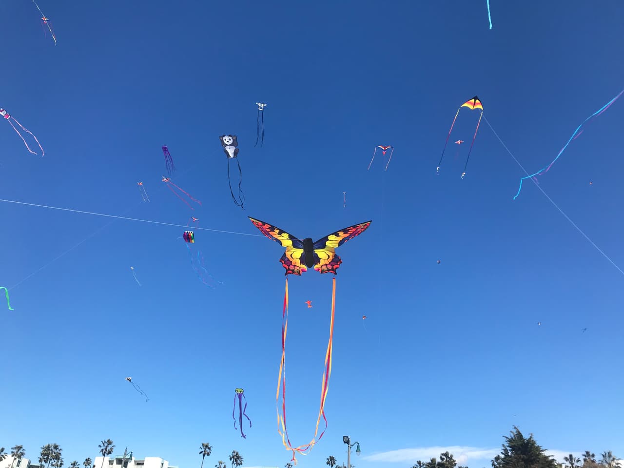 Este domingo, el cielo sobre Redondo Beach se vistió de colores y figuras danzantes de diferentes tamaños durante la edición 44 del Festival de Kites, conocidos también como papalotes, papagayos o cometas.
<br>